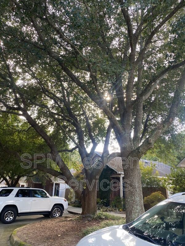 COMING SOON! - Lake Avenue Patio Homes property image